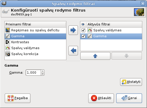 Dialogas „Gamma“