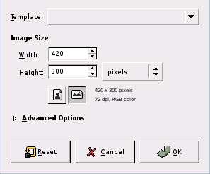 The New Image dialog