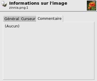 Onglet Commentaire