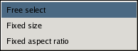 Size Constraint Option Menu for the Rectangle Select tool