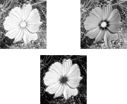 Da sinistra a destra: immagine decomposta (decomposizione RGB), immagine composta