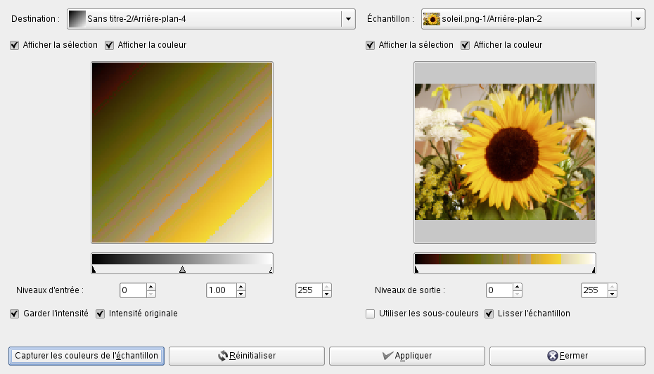 Options du filtre Colorier à partir d'un échantillon