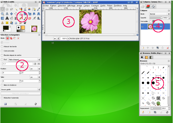 Capture d'écran illustrant la fenêtre GIMP au démarrage