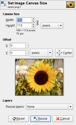 The «Canvas Size» dialog