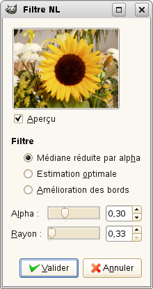Options du filtre NL Filter