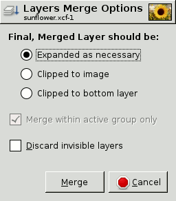 The Layers Merge Options Dialog