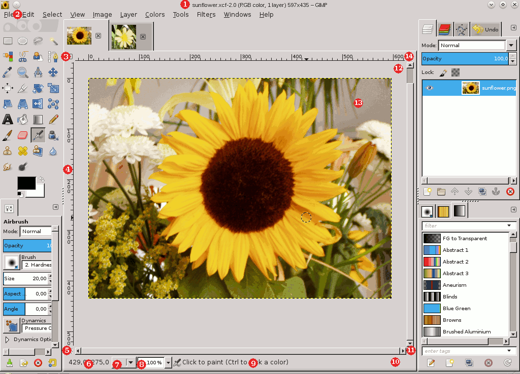 The Image Area in Single-Window Mode