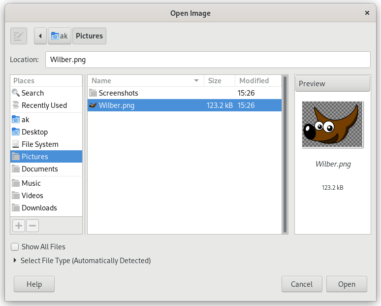 The “Open Image” dialog