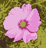 An indexed image with 6 colors and its Colormap dialog