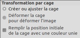 Cage Transform Tool options