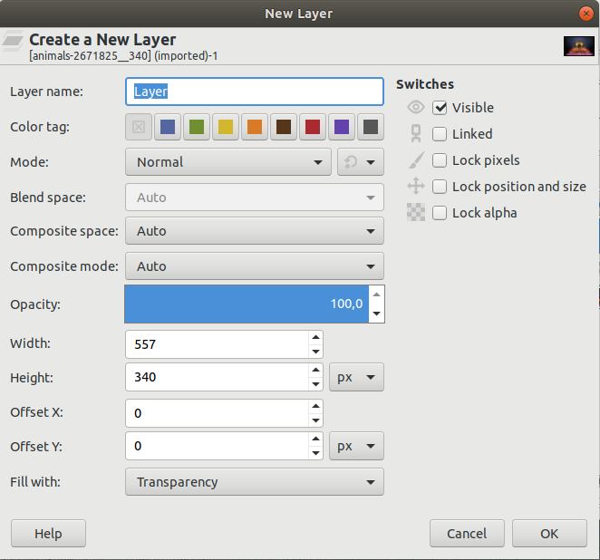The «New Layer» dialog