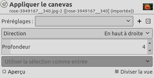 Options du filtre « Effet de toile »