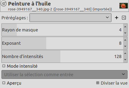 Options du filtre « Peinture à l’huile »