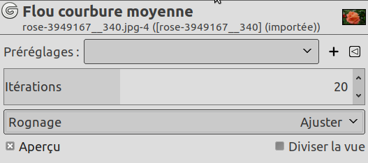 Paramètres du filtre« Flou Courbure moyenne »