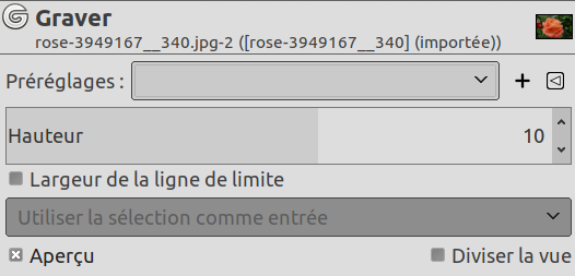 Options du filtre « Gravure »