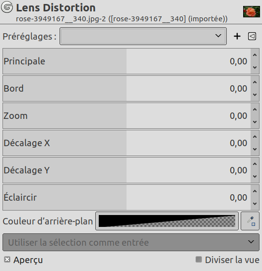 Options du filtre « Distorsion de lentille »