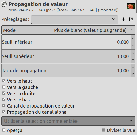 Options du filtre « Propagation de valeur »