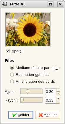 Options du filtre « NL Filter »