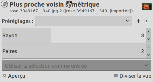 Options du filtre « Plus proche voisin »