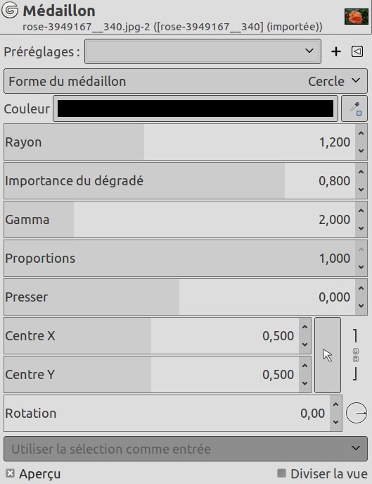 Options du filtre « Médaillon »