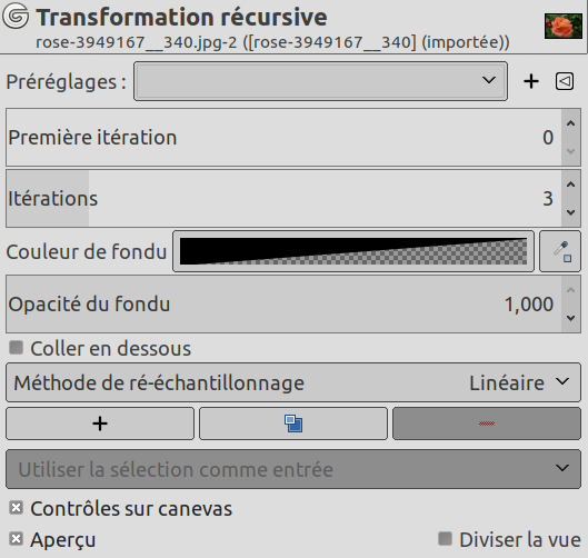 Options du filtre « Transformation récursive »