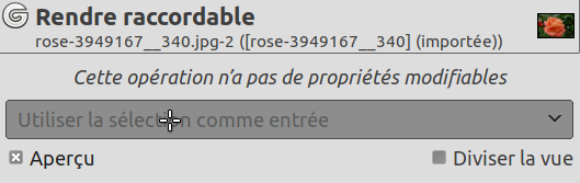 Options du filtre « Rendre raccordable »