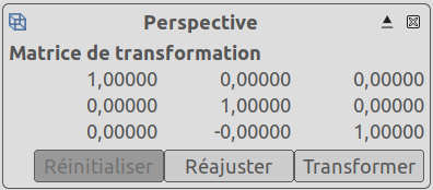 The Perspective adjustment dialog