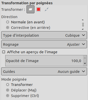 Options de l’outil Transformation par poignées