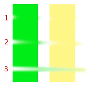 Ratio voorbeeld