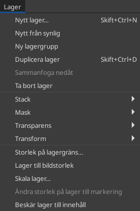 The Contents of the ”Layer” Menu