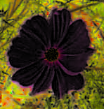 Eksempel på brug af filteret to gange