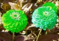 Eksempel på Kanalrepræsentationer: ombytning af to kanaler