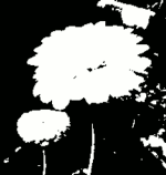 Det oprindelige billede, det opsplittede lag og dets Lag-dialog