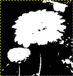 Det valgte lag efter tilpasning af tærsklen