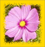 Beispiel für Körnigkeit (ohne Weichzeichnen)