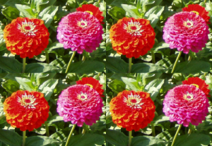 Anwendungsbeispiel für das Filter „Kacheln“