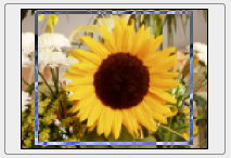 Leinwandgröße ändern