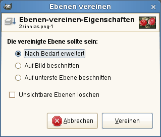 The „Layers Merge Options“ Dialog