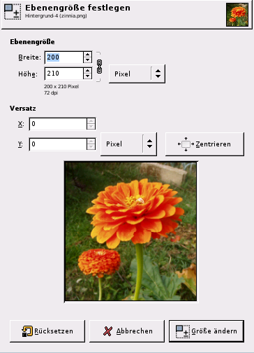Das Dialogfenster „Ebenengröße“