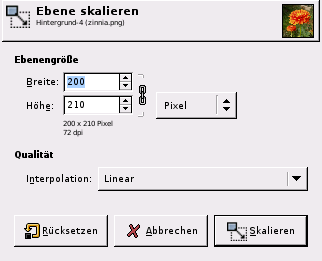 Das Dialogfenster „Ebene skalieren“