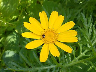 Objekt mit Hintergrund