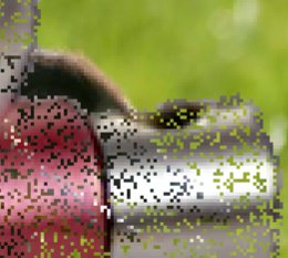 Vergrößerter Ausschnitt