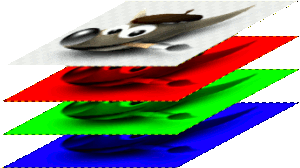 Ein Bild im RGB-Modus und im Graustufenmodus