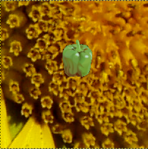 Παράδειγμα «Κλείδωμα πινέλου για προβολή»