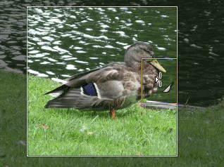 Διάλογος για περικοπή