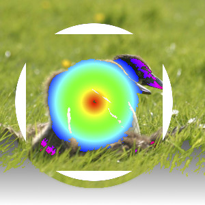 Παράδειγμα για την κατάσταση στρώσης «Μόνο άνοιγμα ασπρόμαυρης φωτεινότητας/λαμπρότητας (Luma/Luminance)»