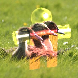 Παράδειγμα για κατάσταση στρώσης «Υπεκφυγή»