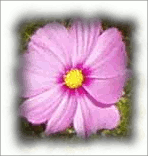 Ejemplo de “Añadir sombra”