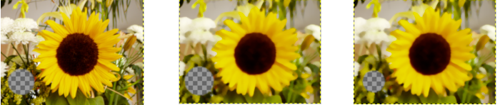 「Alpha percentile」 option example