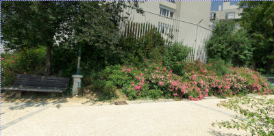 Panorama Projection filter applied